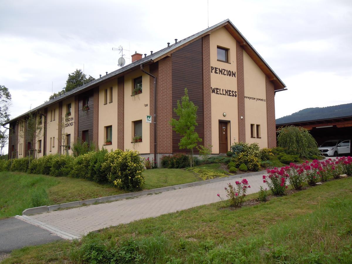 Penzion Jecminek Červená Voda Buitenkant foto